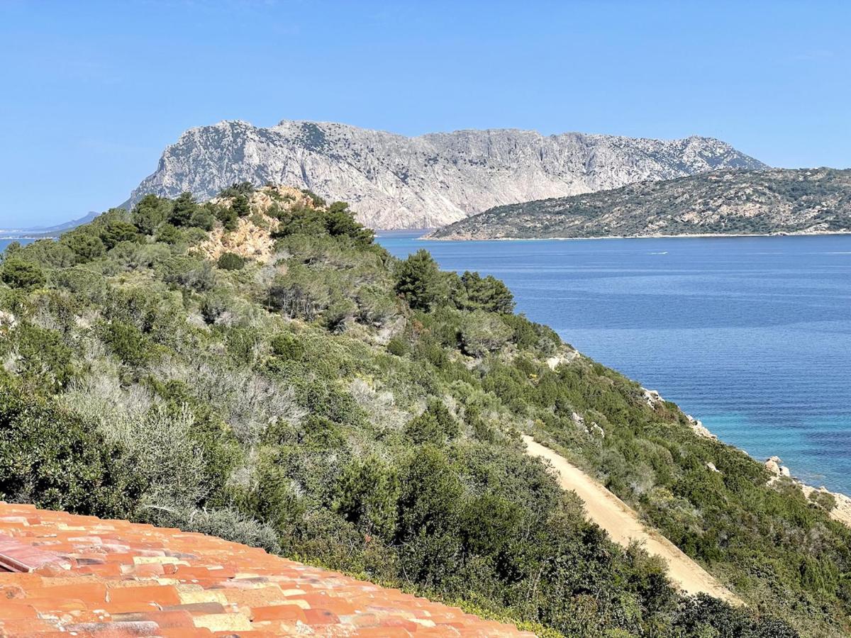 San Teodoro Punta Est Fantastico Trilocale Vista Mare Apartment Capo Coda Cavallo Ngoại thất bức ảnh
